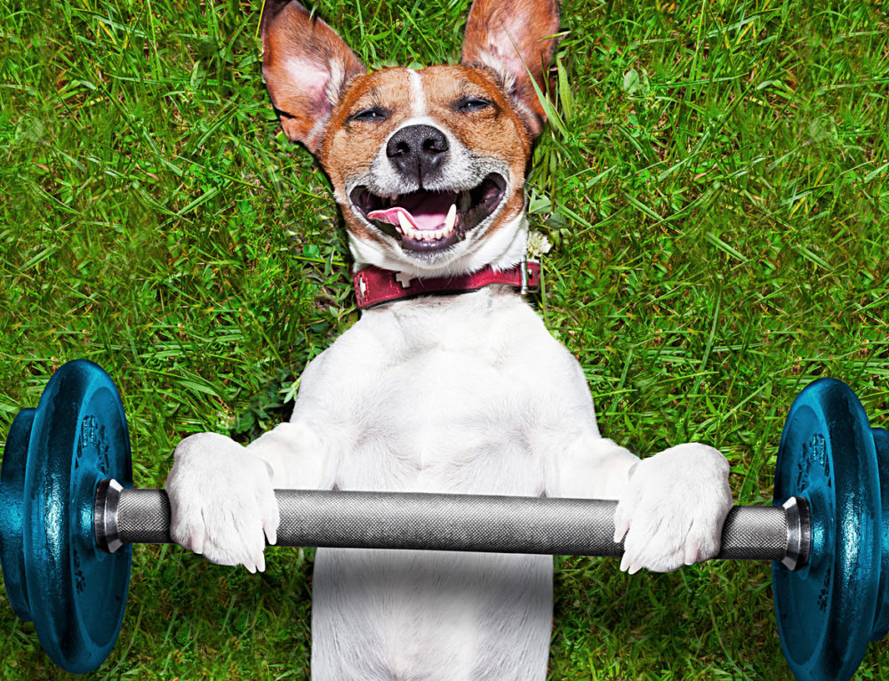 When to Take Creatine Raw Barrel Supplements