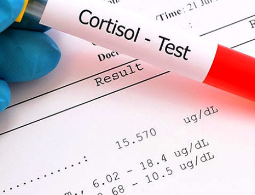 Cortisol and Its Role